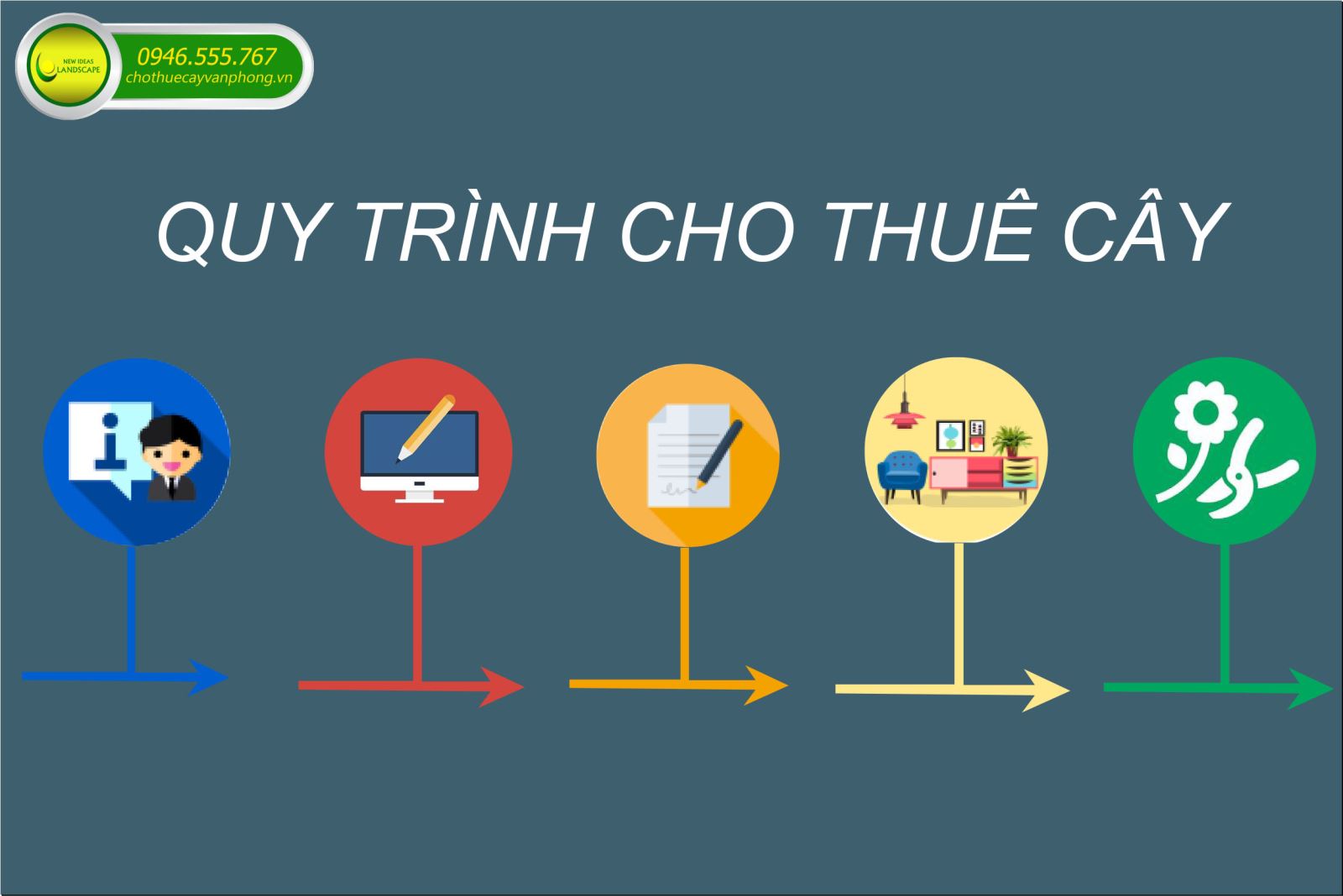 Quy Trình Cho Thuê Cây