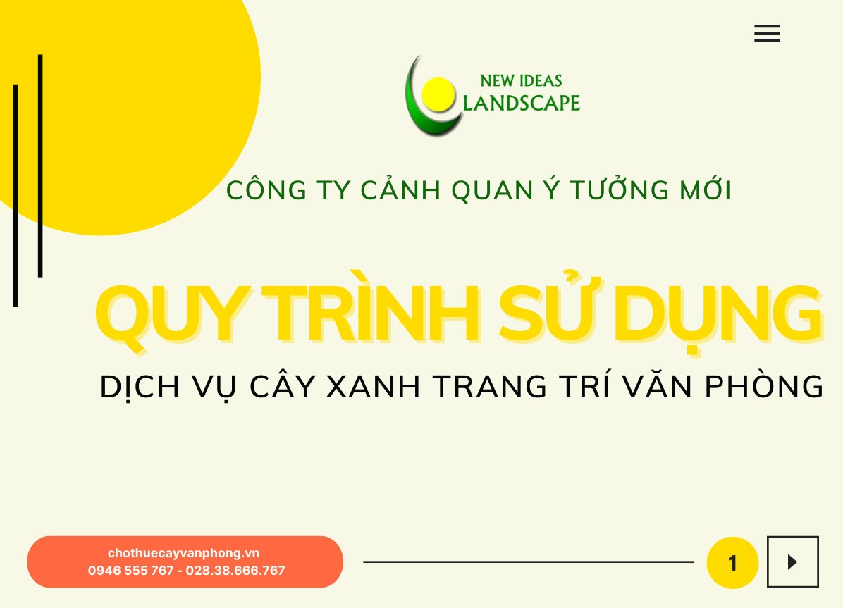 HƯỚNG DẪN THUÊ CÂY CẢNH VĂN PHÒNG ĐƠN GIẢN