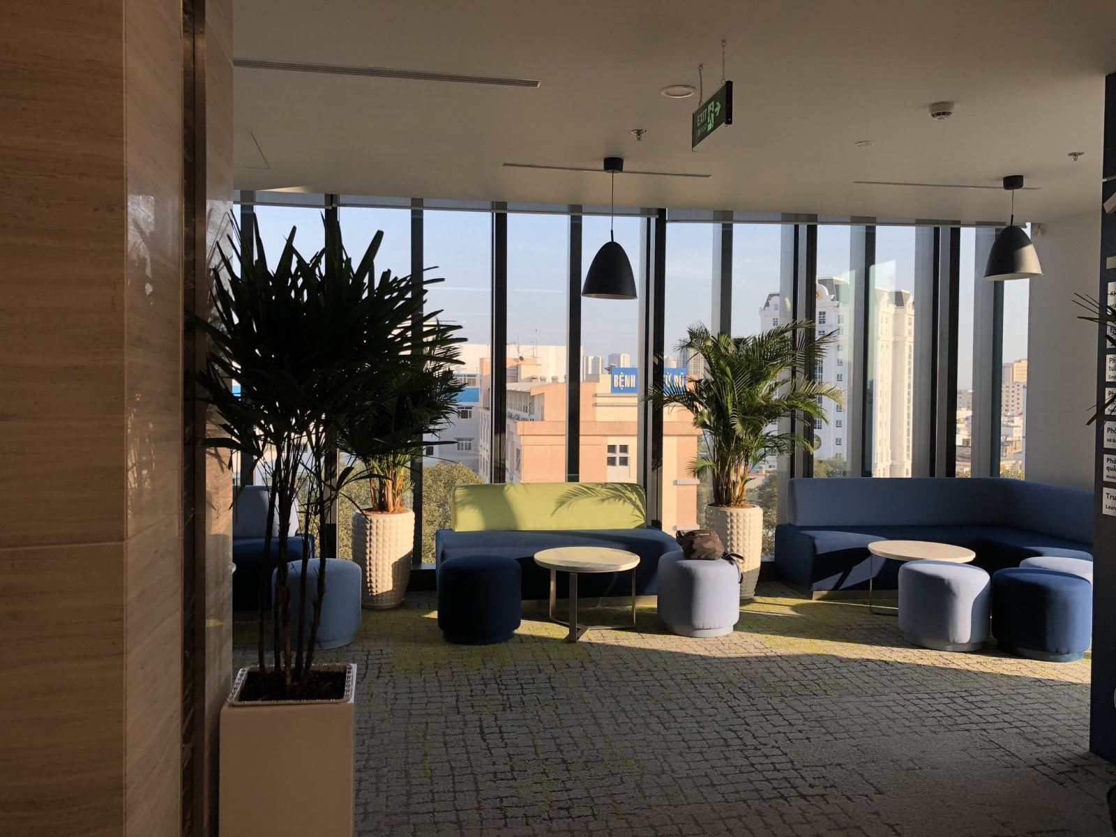 Dịch Vụ Cho Thuê Cây Văn Phòng